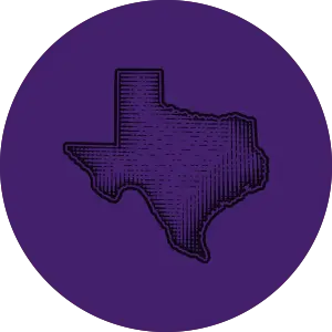 Texas state icon