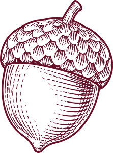 Acorn
